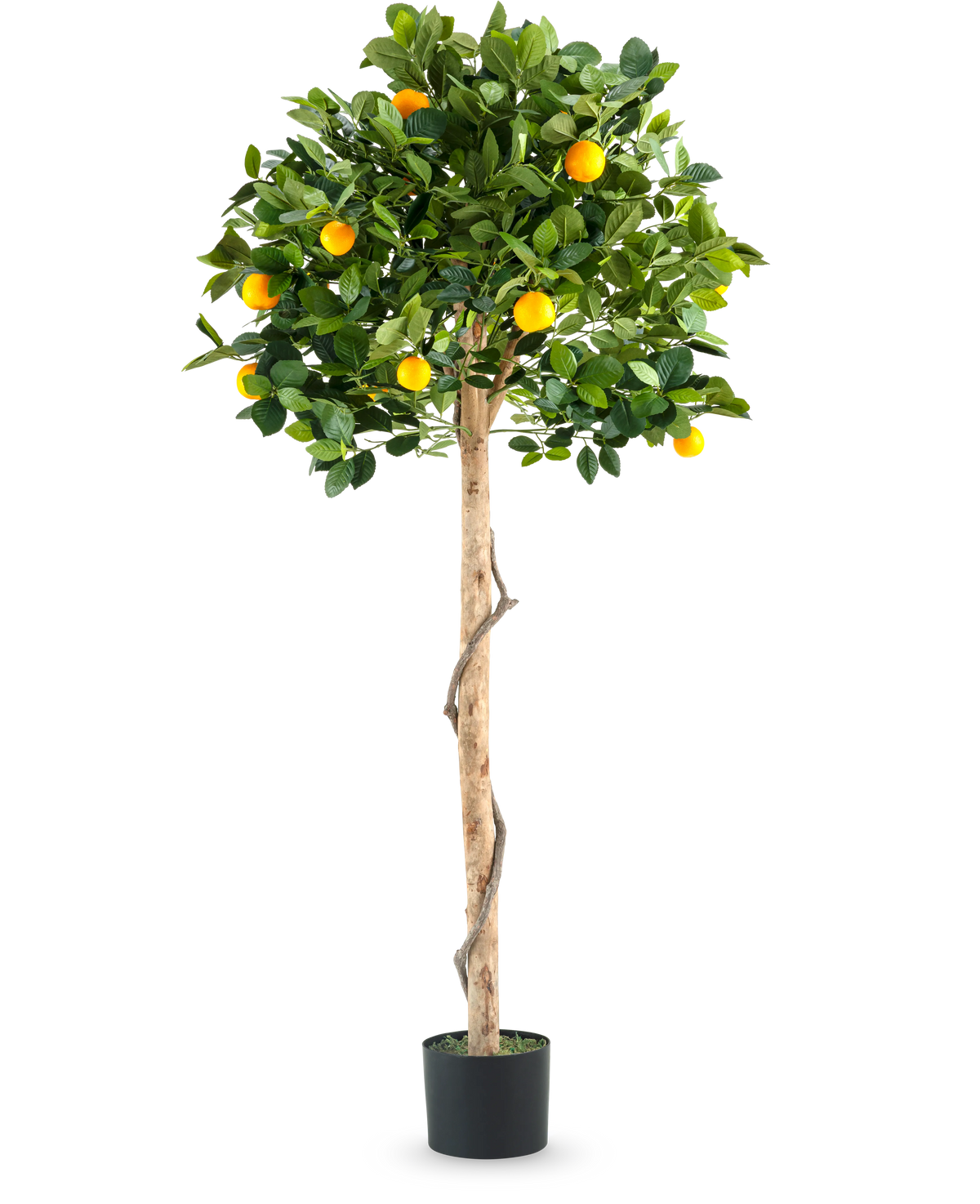 Un oranger artificiel sur un seul tronc de 150 cm en pot avec un tronc élancé, des feuilles vertes vibrantes et des fruits orange réalistes, représenté sur un fond blanc uni.