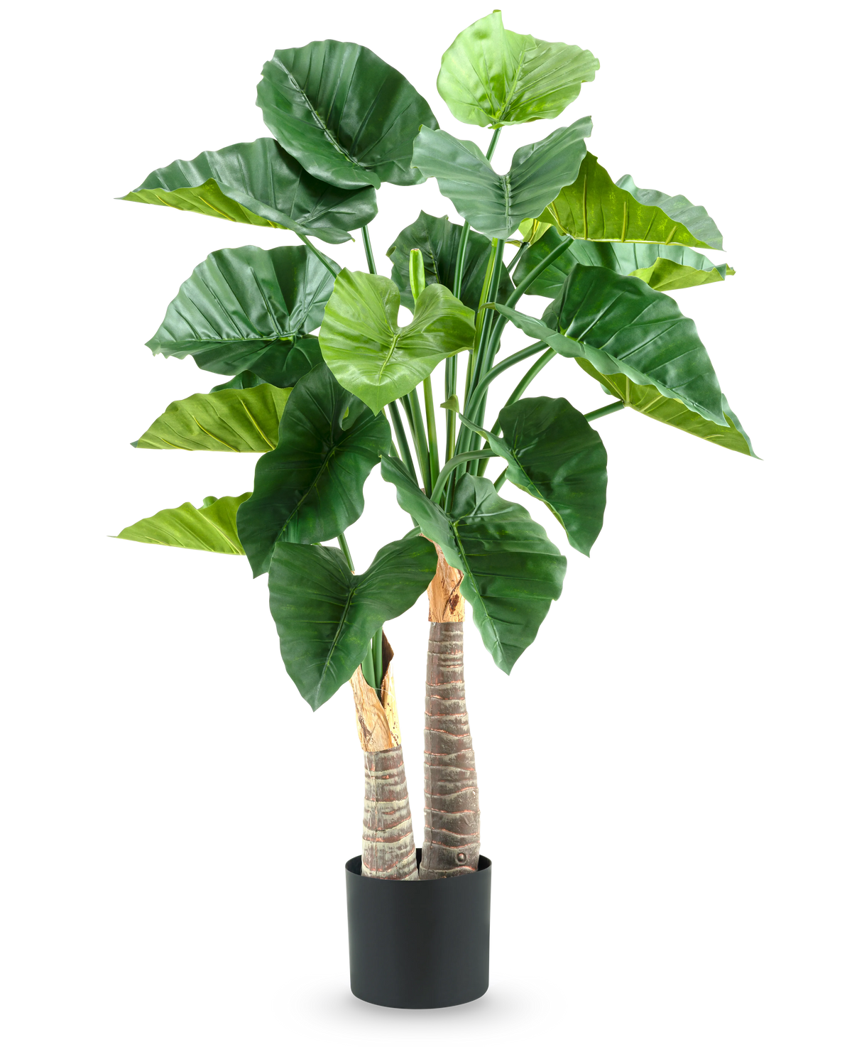 La plante artificielle Alocasia 120 cm possède de grandes feuilles vertes brillantes et deux tiges épaisses et structurées dans un simple pot noir, sur fond blanc.