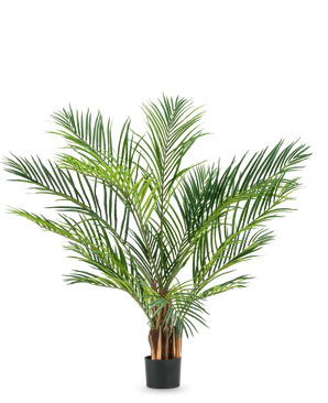 La plante artificielle Areca 150 cm a de longues feuilles vertes fines et des tiges brunes dans un simple pot noir, sur un fond blanc uni.