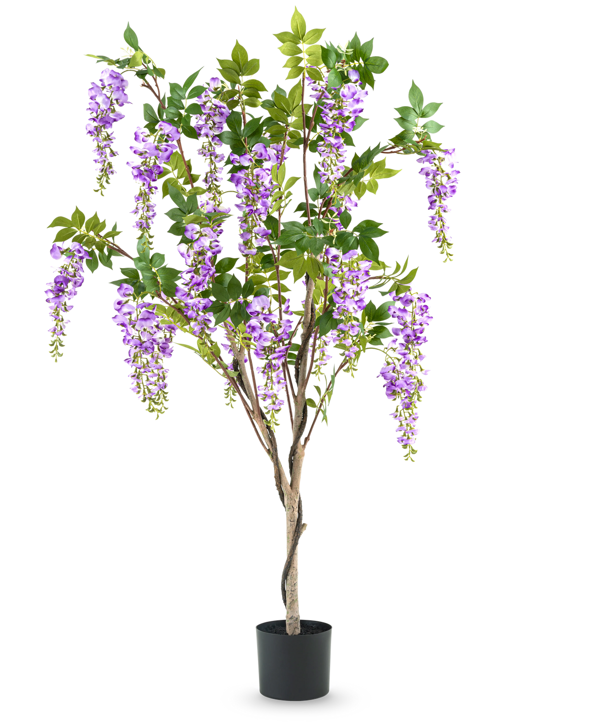 La Plante Glycine Artificielle 150 cm est une glycine artificielle en pot avec des feuilles vertes et des fleurs violettes, sur un fond uni blanc.
