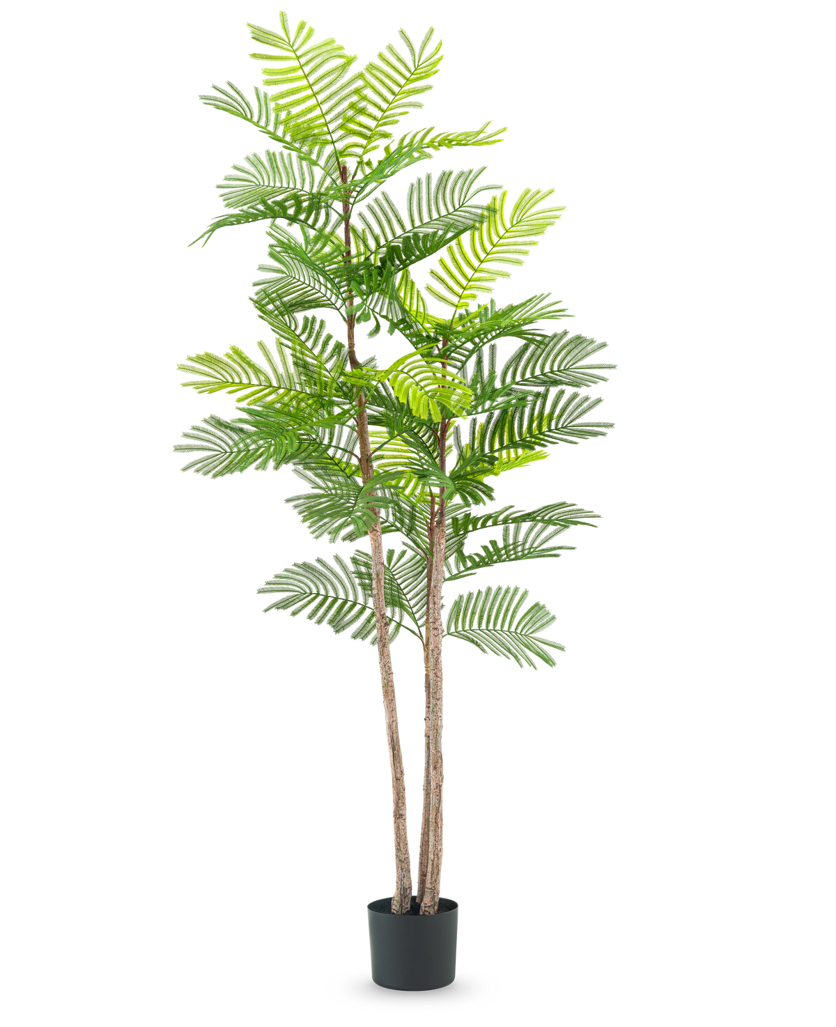La fougère artificielle 150 cm est une grande plante artificielle avec de fines tiges brunes et des feuilles vertes ressemblant à des fougères, dans un petit pot noir sur un fond blanc uni.