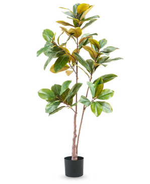 L'arbre Yulania artificiel de 150 cm est une grande plante artificielle réaliste avec de larges feuilles vertes et jaunes dans un pot noir, sur un fond blanc uni.