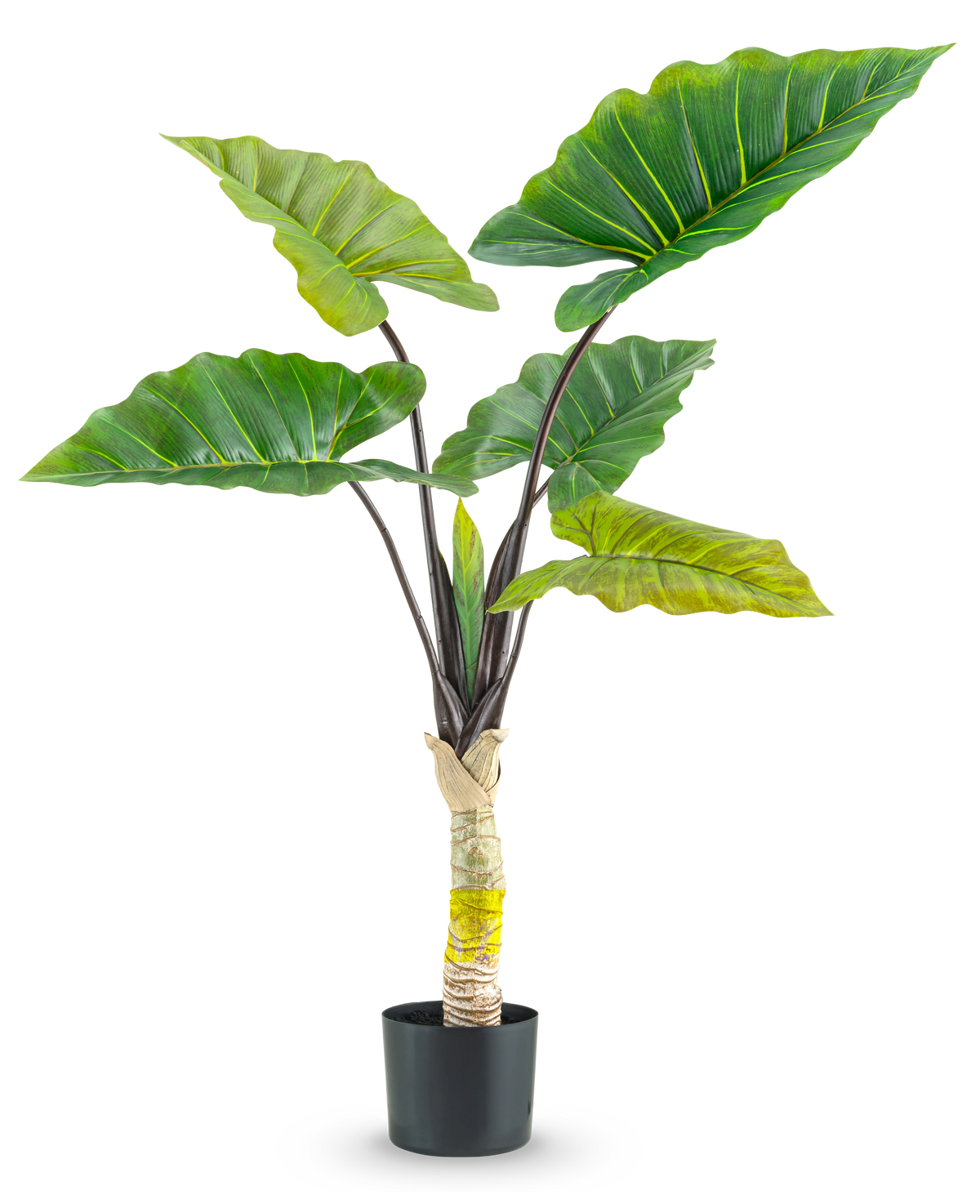 La plante artificielle Calocasia 120 cm possède de grandes feuilles vertes larges et une tige centrale épaisse dans un pot haut, sur un fond blanc uni.