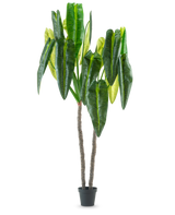 La plante artificielle Anthurium 240 cm est une grande plante artificielle en pot avec deux tiges brunes et de grandes feuilles vertes allongées sur un fond blanc uni.
