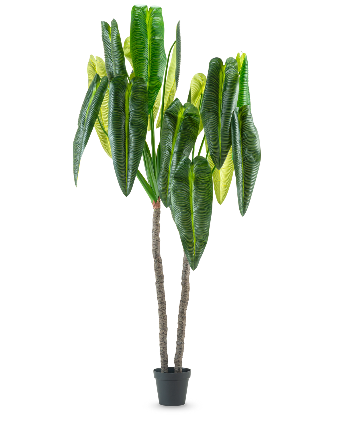 La plante artificielle Anthurium 240 cm est une grande plante artificielle en pot avec deux tiges brunes et de grandes feuilles vertes allongées sur un fond blanc uni.
