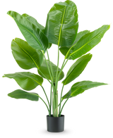 La plante artificielle Strelitzia Real Touch Deluxe 120 cm possède de larges feuilles vertes brillantes sur de longues tiges, dans un simple pot noir et sur un fond blanc uni.