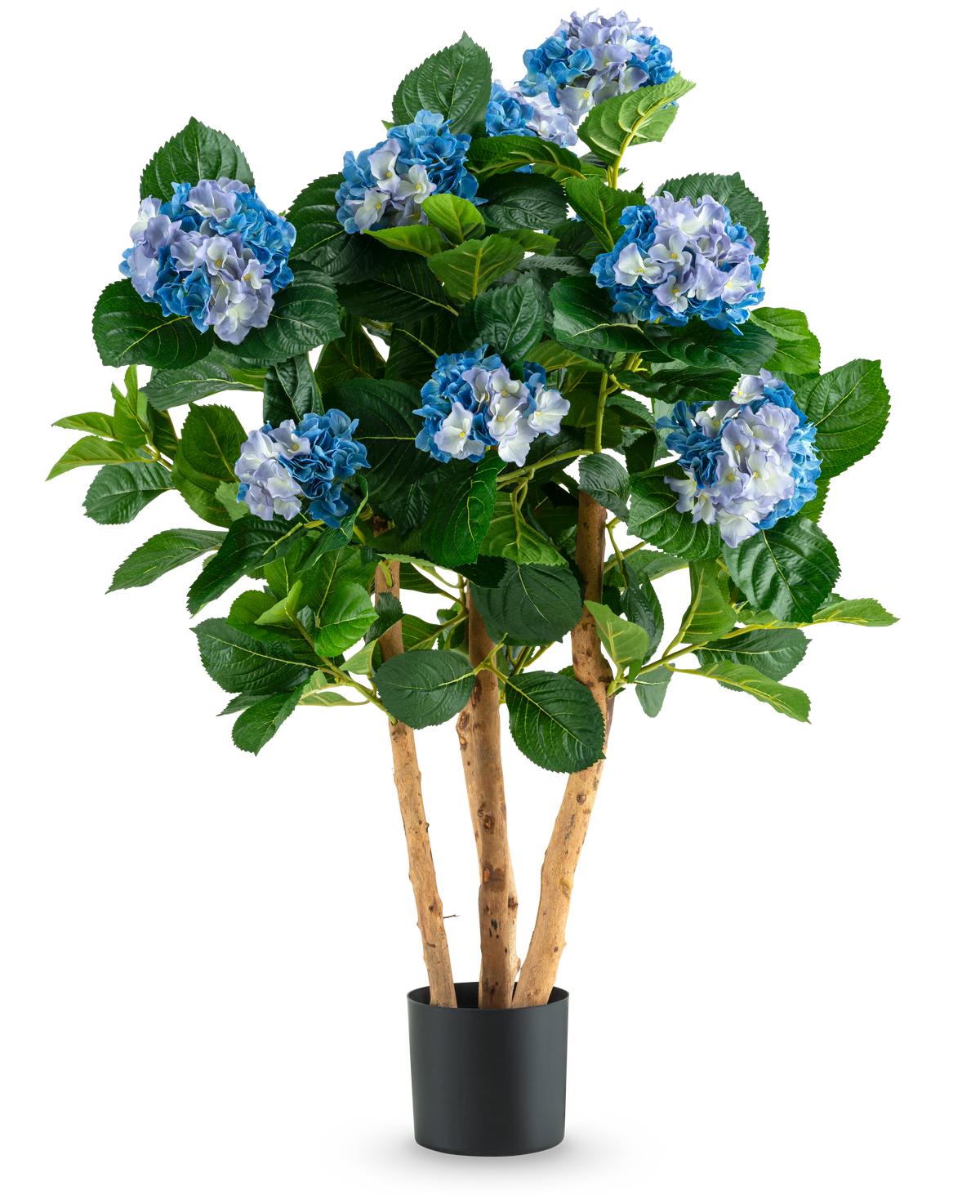L'Hortensia Artificiel UV 85 cm bleu a de hautes tiges en bois et de grandes feuilles vertes, avec des bouquets de fleurs d'hortensia bleues et blanches dans un pot noir, parfait pour la décoration.