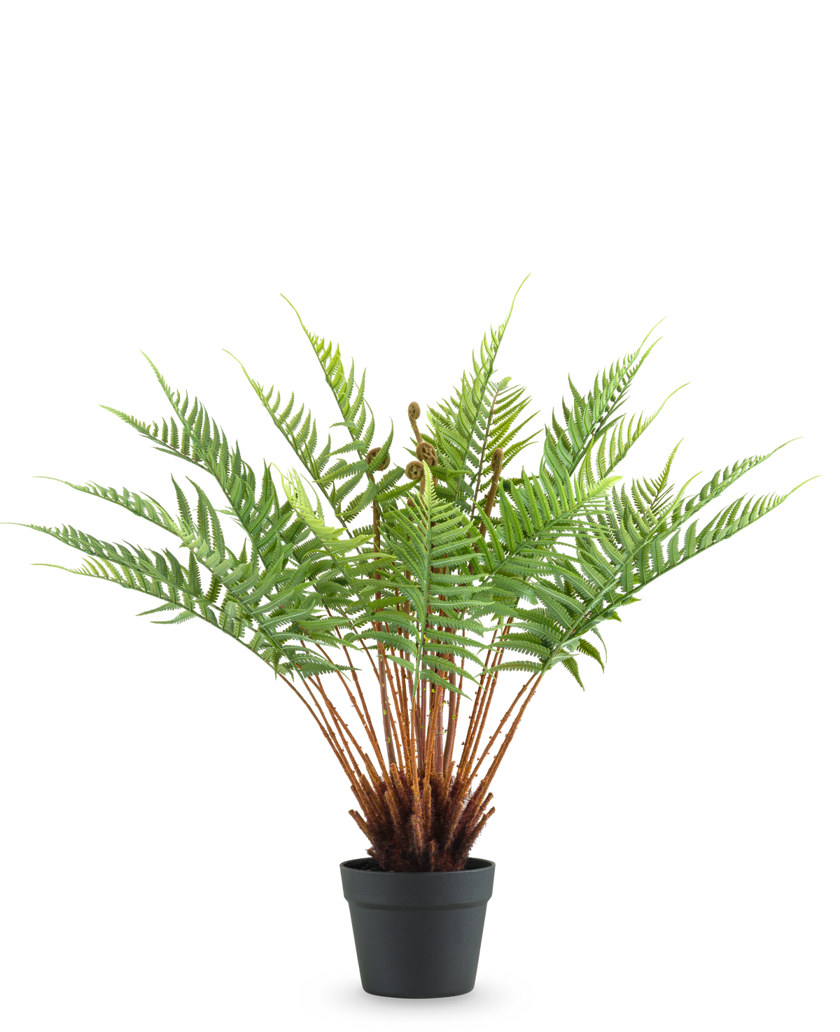 La Fougère Plante Artificielle 66 cm est une fougère artificielle en pot avec de longues feuilles vertes duveteuses et des tiges brunes, sur un fond blanc uni.