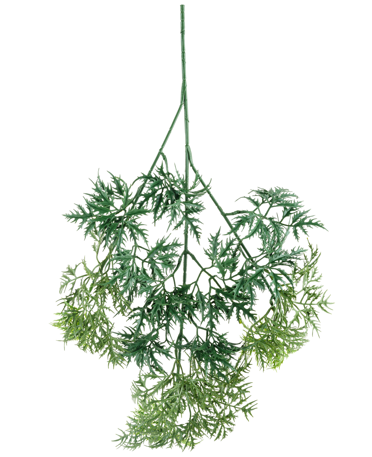 Le spray Kunsttak Ming Aralia 72 cm présente des feuilles artificielles vertes, légères comme une plume, avec de fins bords en forme d'aiguilles dans diverses nuances de vert, suspendues à l'envers sur un fond blanc.