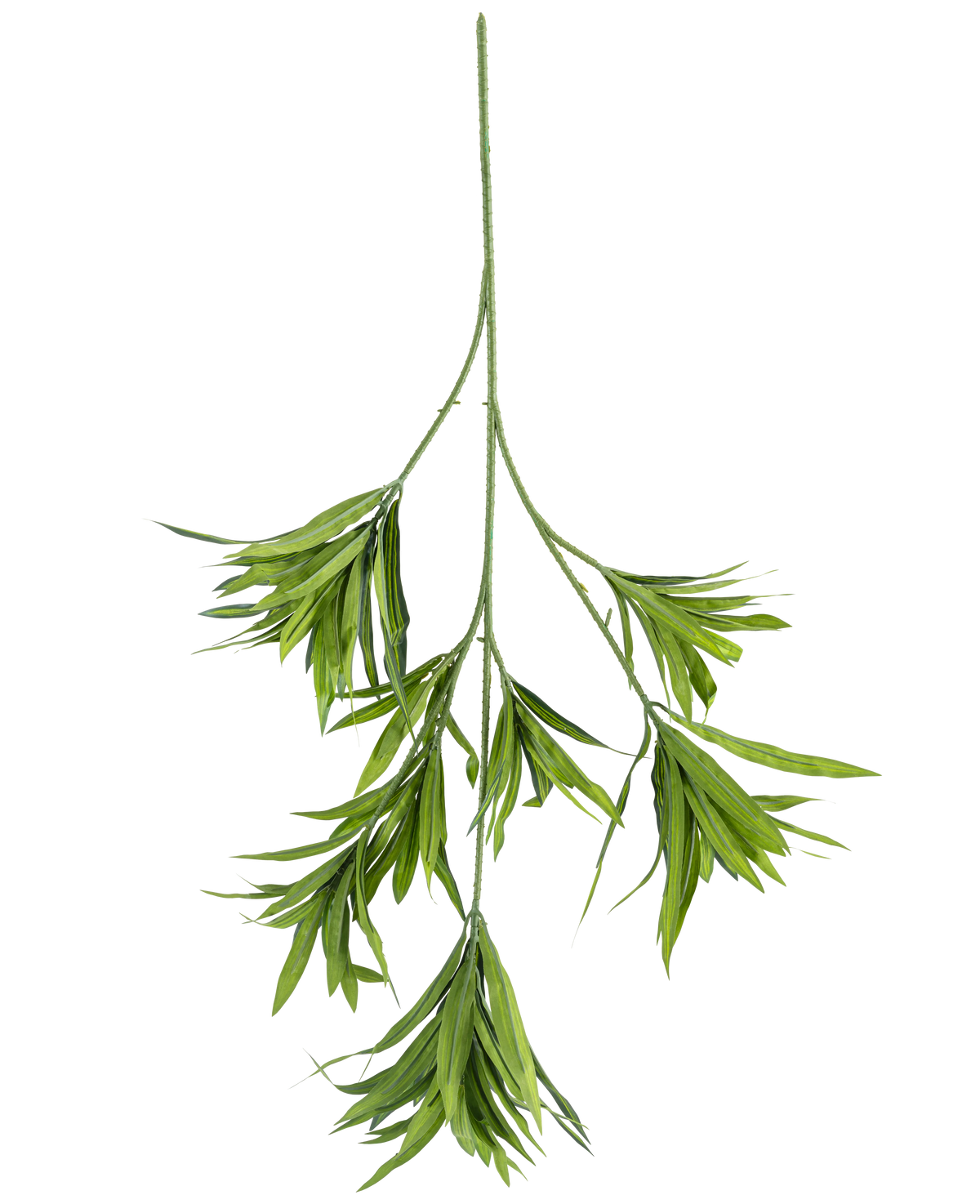 La Plante Artificielle Dracaena Reflexa spray 86 cm FR est une simple tige artificielle verte avec plusieurs feuilles longues et étroites qui se ramifient, sur un fond uni blanc.