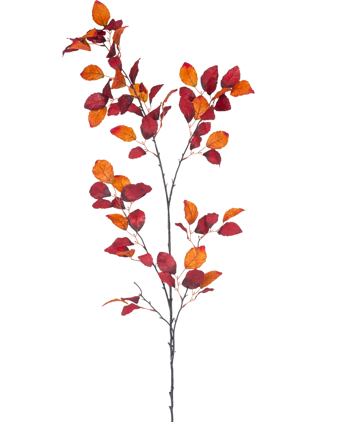 La Branche Artificielle Hêtre Rouge 156 cm est une branche unique à tiges multiples, avec des feuilles d'automne rouge vif et orange sur un fond blanc uni.