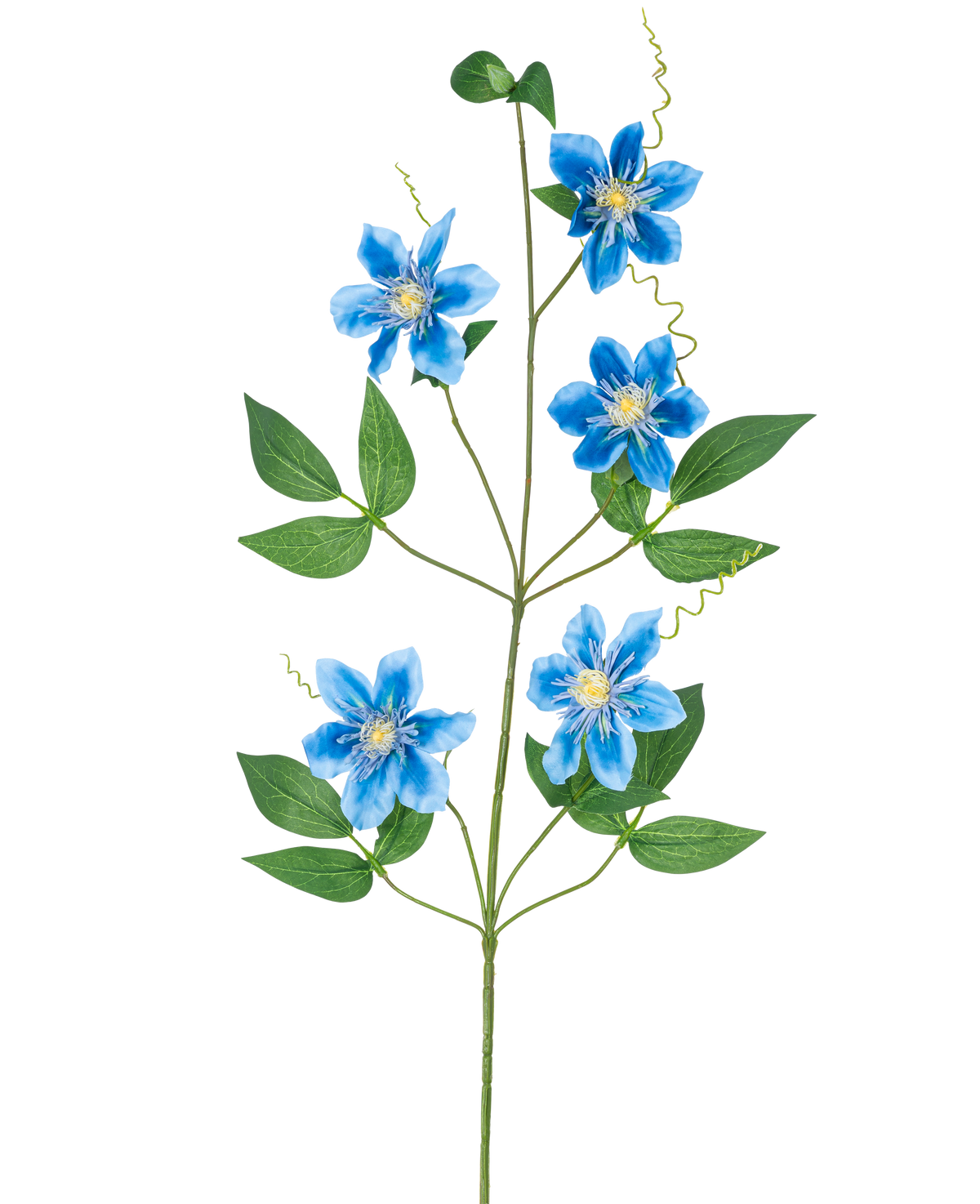 La fleur artificielle Clématite double 82 cm bleue a une seule tige de vigne avec cinq fleurs bleues vibrantes et plusieurs feuilles vertes, joliment mises en valeur sur un fond blanc uni.