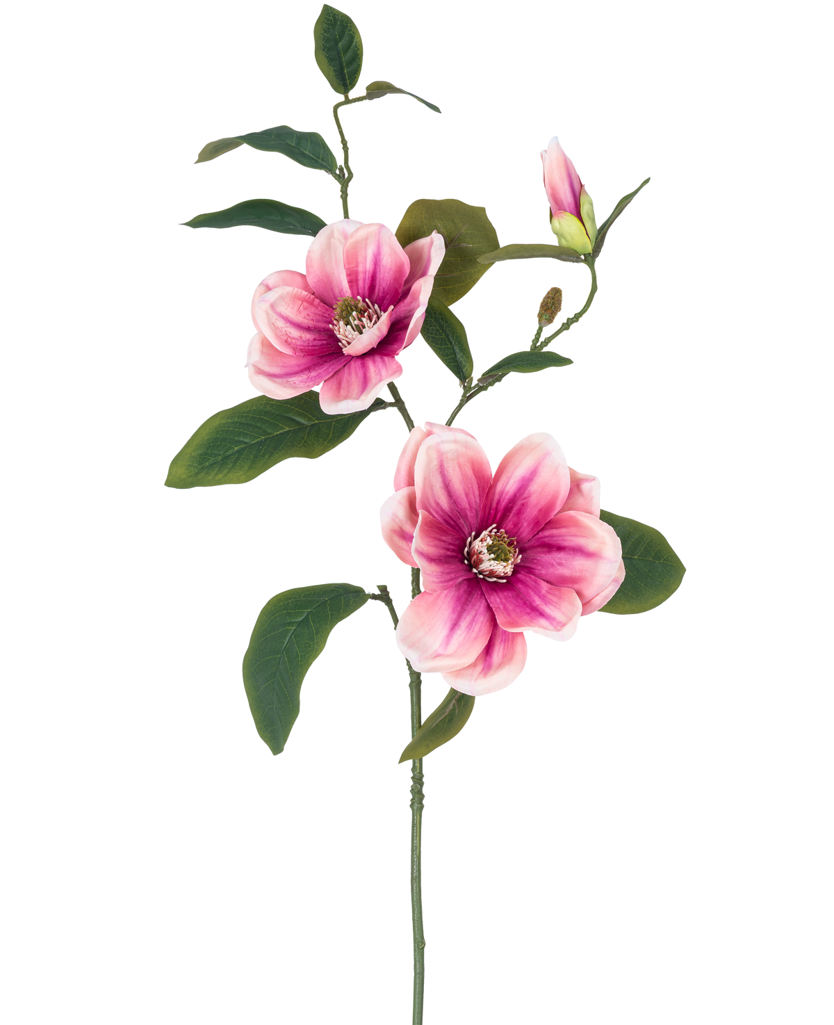 La Fleur Artificielle Magnolia 82 cm rose/blanc a une seule tige avec deux grandes fleurs de magnolia rose-blanc, un bourgeon et plusieurs feuilles vert foncé, sur un fond uni blanc.