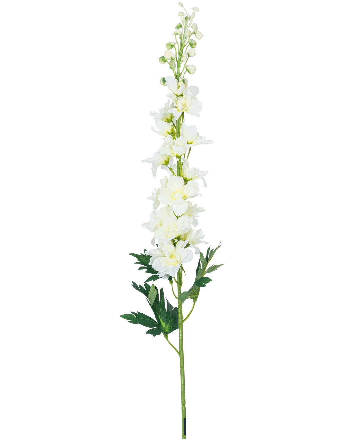 La Fleur Artificielle Delphinium 79 cm blanche possède une longue tige de delphinium blanc avec de multiples fleurs et feuilles vertes, isolées sur un fond blanc.
