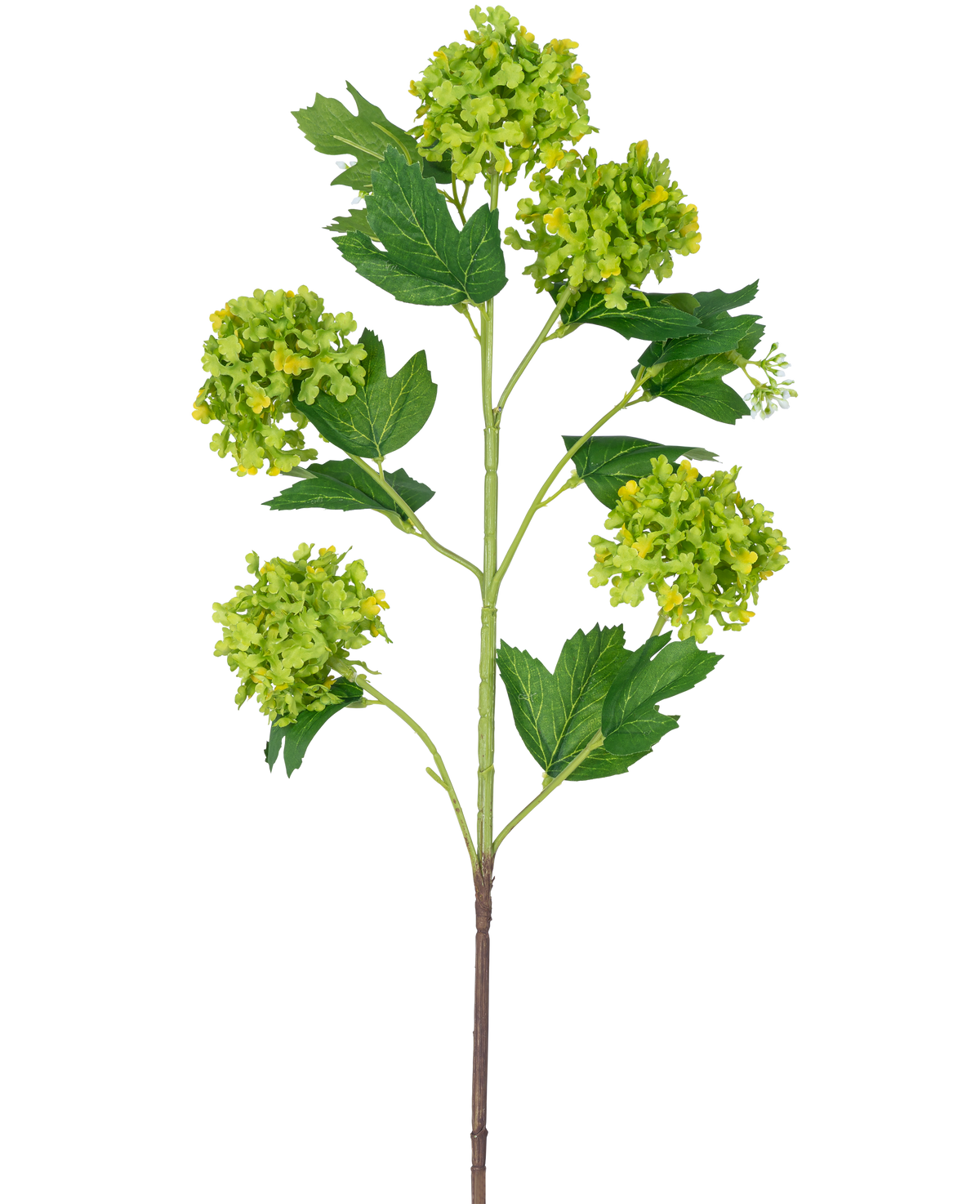 La Branche Artificielle Boule de Neige 77 cm verte a une seule tige avec plusieurs bouquets de fleurs rondes vert-jaune et des feuilles dentelées vert foncé, le tout sur un fond blanc.