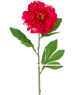 La pivoine artificielle de 77 cm rouge est une pivoine artificielle unique avec une grande fleur rouge vif et des feuilles vertes sur une longue tige, représentée sur un fond blanc.