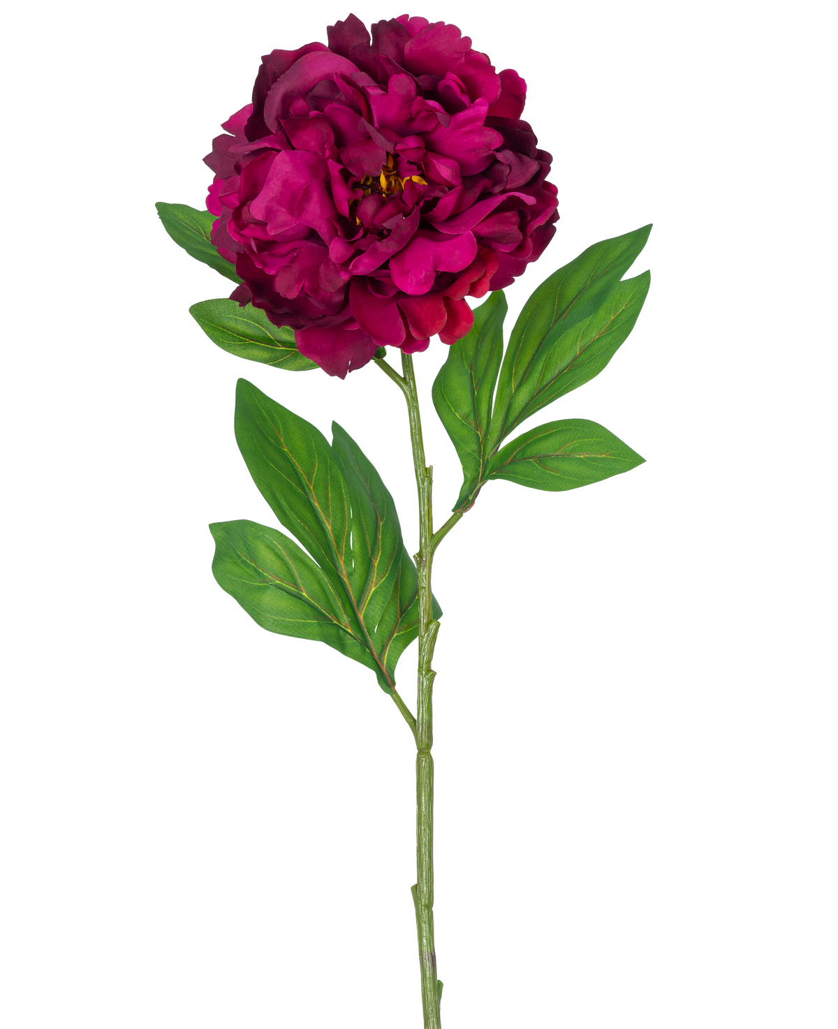 Une seule fleur artificielle de pivoine, tige d'aubergine artificielle de 77 cm, montrant une pivoine magenta foncé avec quelques feuilles vertes, sur un fond blanc uni.