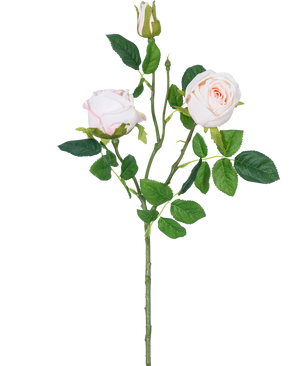La Branche de Rose Artificielle Real Touch rose 72cm a une seule tige avec deux fleurs de rose rose clair, un bouton de rose et des feuilles vertes, isolées sur un fond blanc.