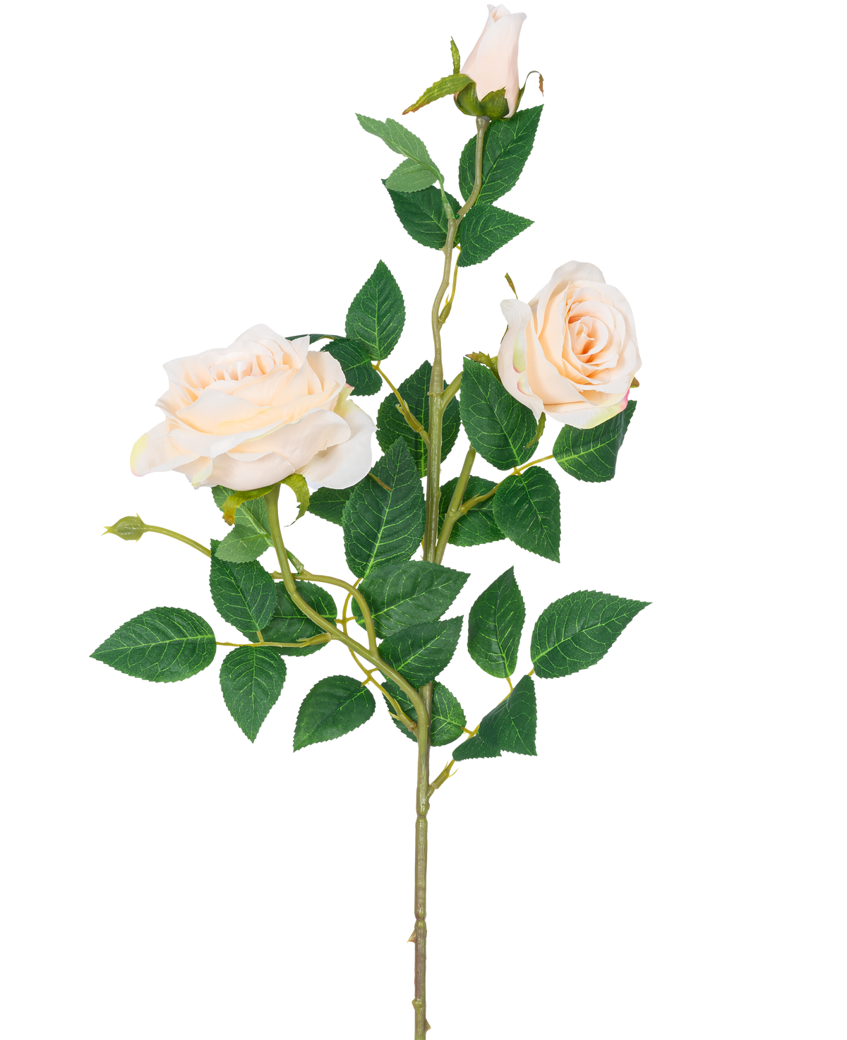 La Rose Artificielle Neo deluxe 75 cm beige a une seule tige avec deux roses fleuries beige clair, un bouton de rose et plusieurs feuilles vertes, sur un fond blanc uni.