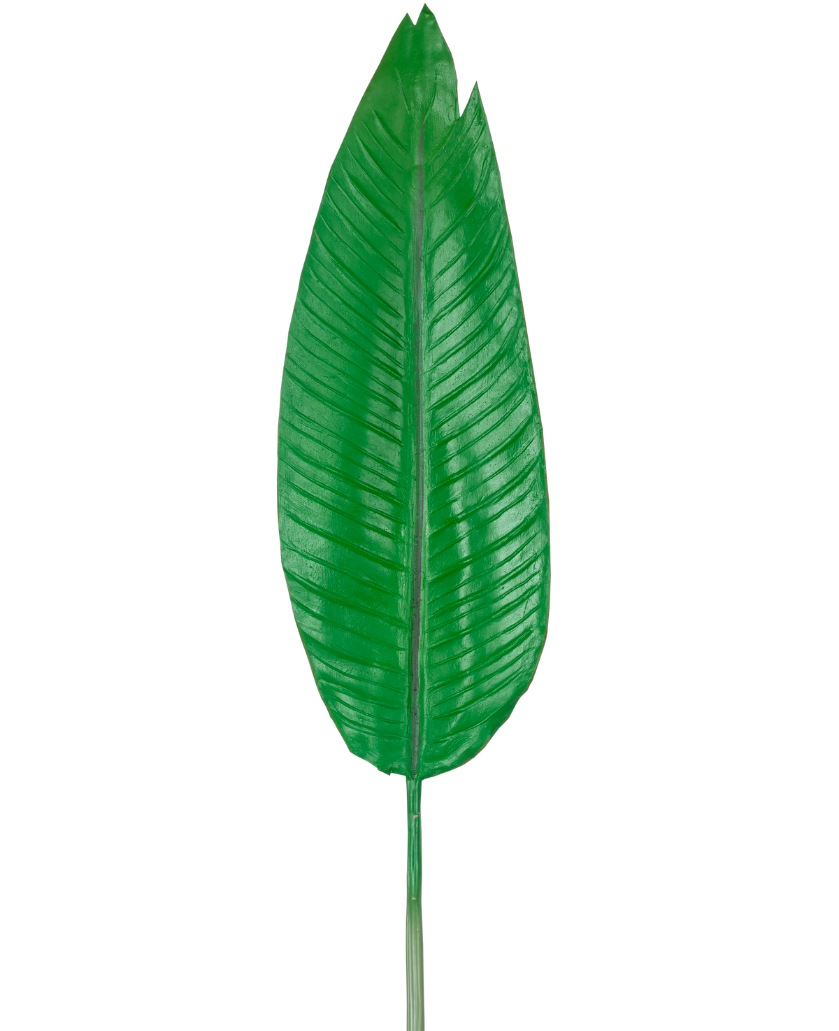 La feuille artificielle Strelitzia 110 cm est une grande feuille artificielle verte avec une nervure médiane proéminente et des nervures latérales visibles, représentée sur un fond blanc uni.