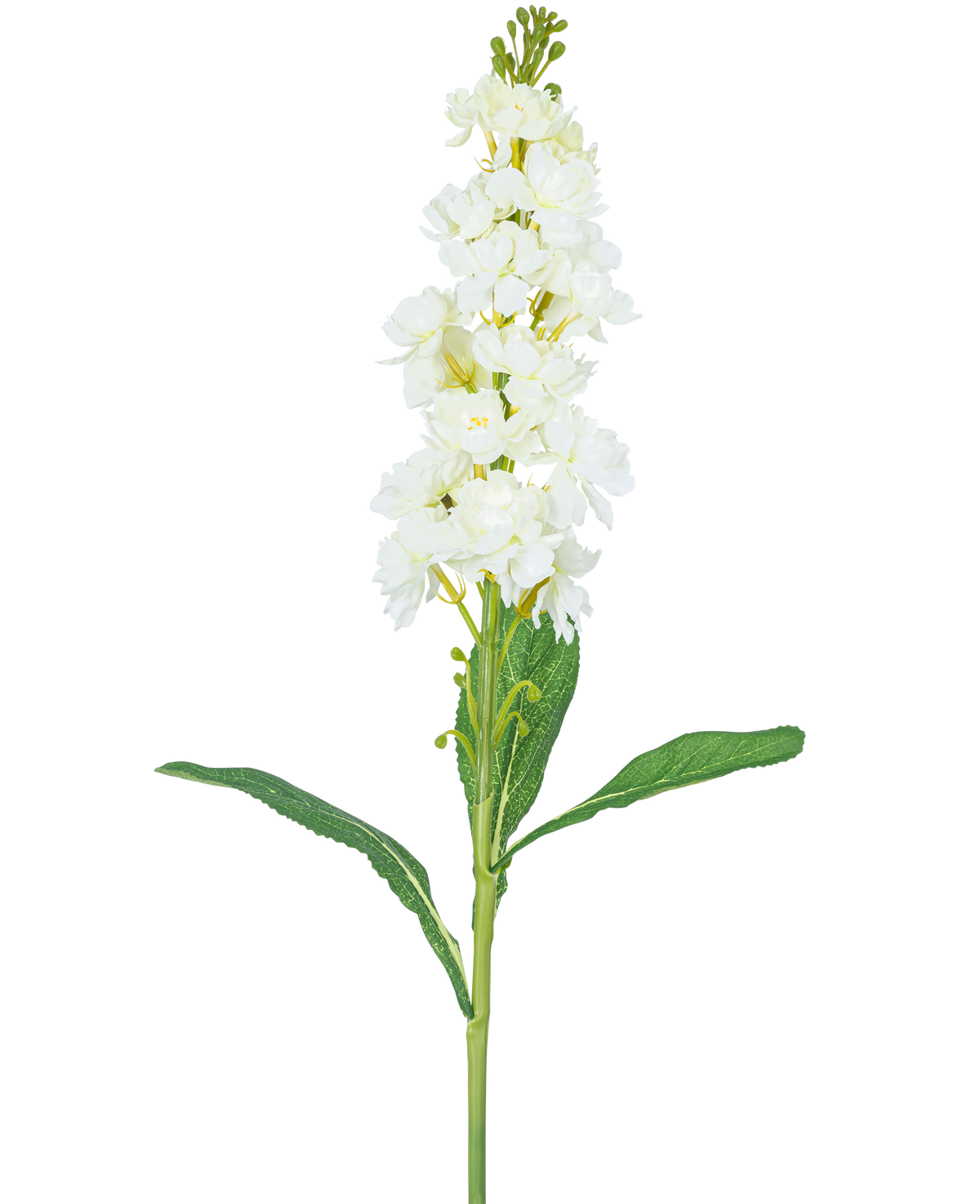 La Fleur Artificielle Violier 78 cm blanche possède une longue tige avec des fleurs blanches en grappes au sommet et de longues feuilles vertes, sur un fond blanc uni.