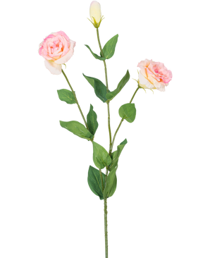 L'Eustoma Artificiel Real Touch Rose Clair 72 cm a une seule tige verte avec deux fleurs rose clair épanouies et un bourgeon fermé, entouré de feuilles vertes, sur un fond blanc uni.