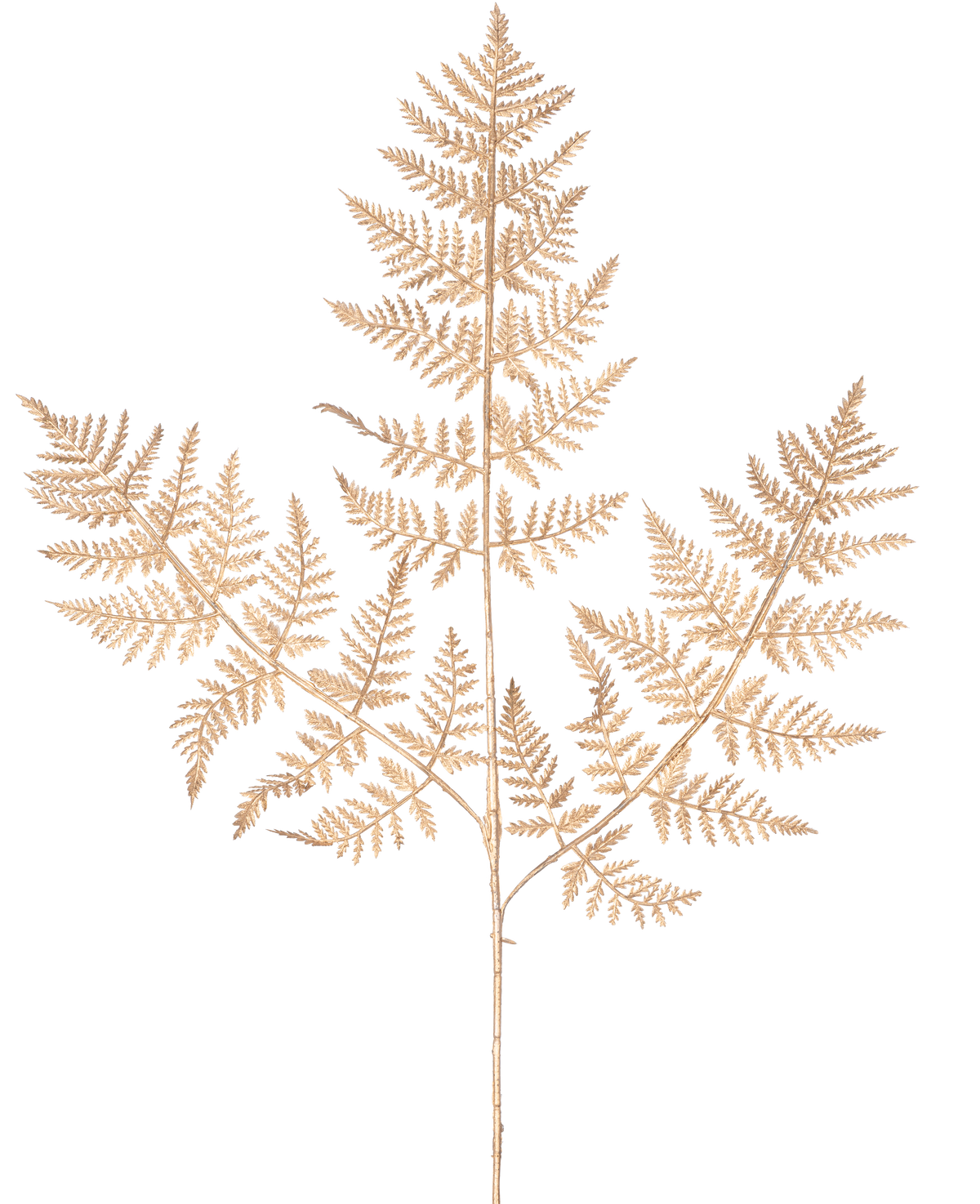 La branche de fougère artificielle de 78 cm dorée présente une délicate branche de fougère séchée avec de fines feuilles marron clair complexes dans un motif de dentelle détaillé, élégamment affichées sur un fond blanc uni.