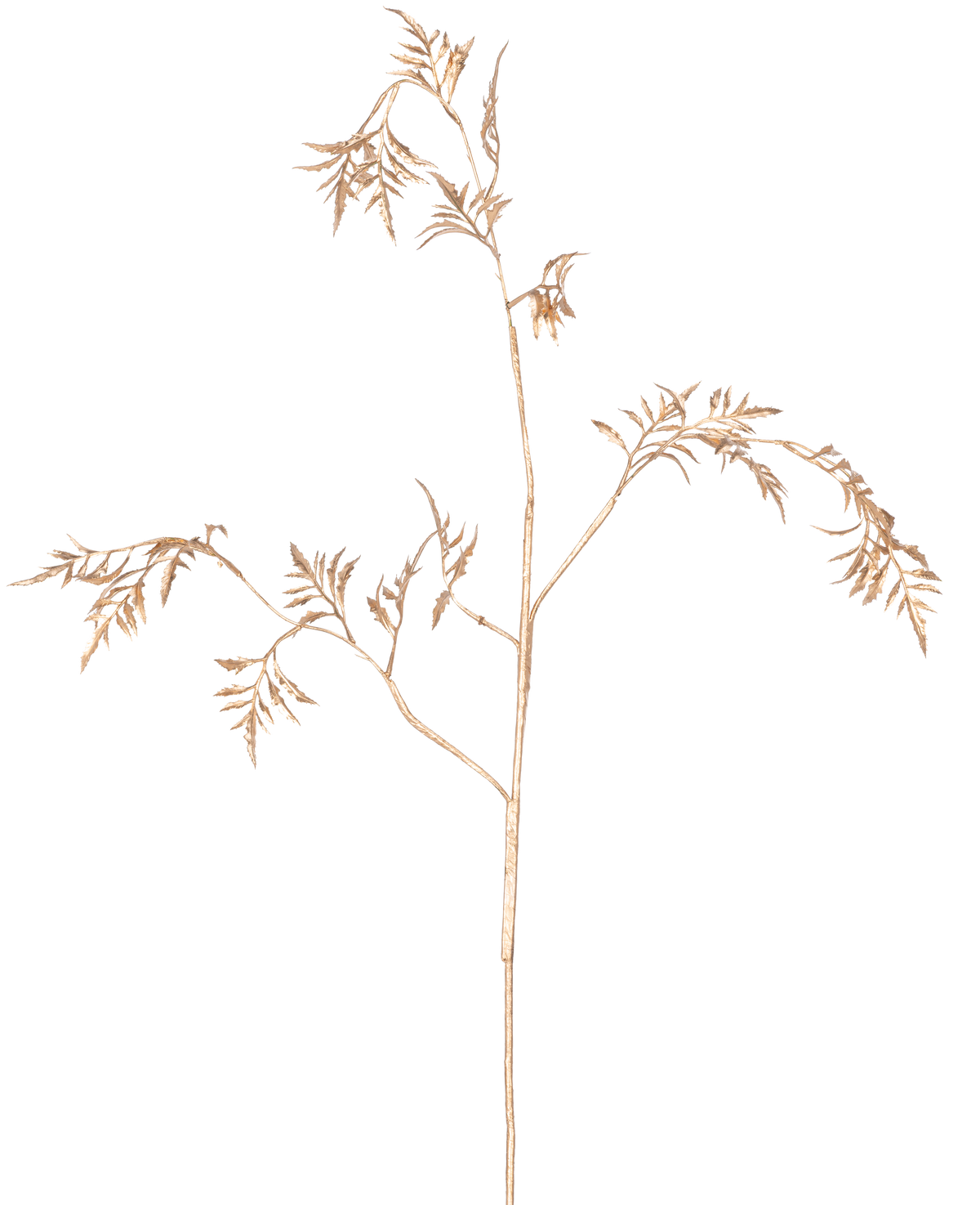 La Fougère Branche Artificielle Mini 75 cm dorée a des tiges délicates de couleur marron clair avec de fines feuilles plumeuses qui se ramifient sur un fond blanc uni.