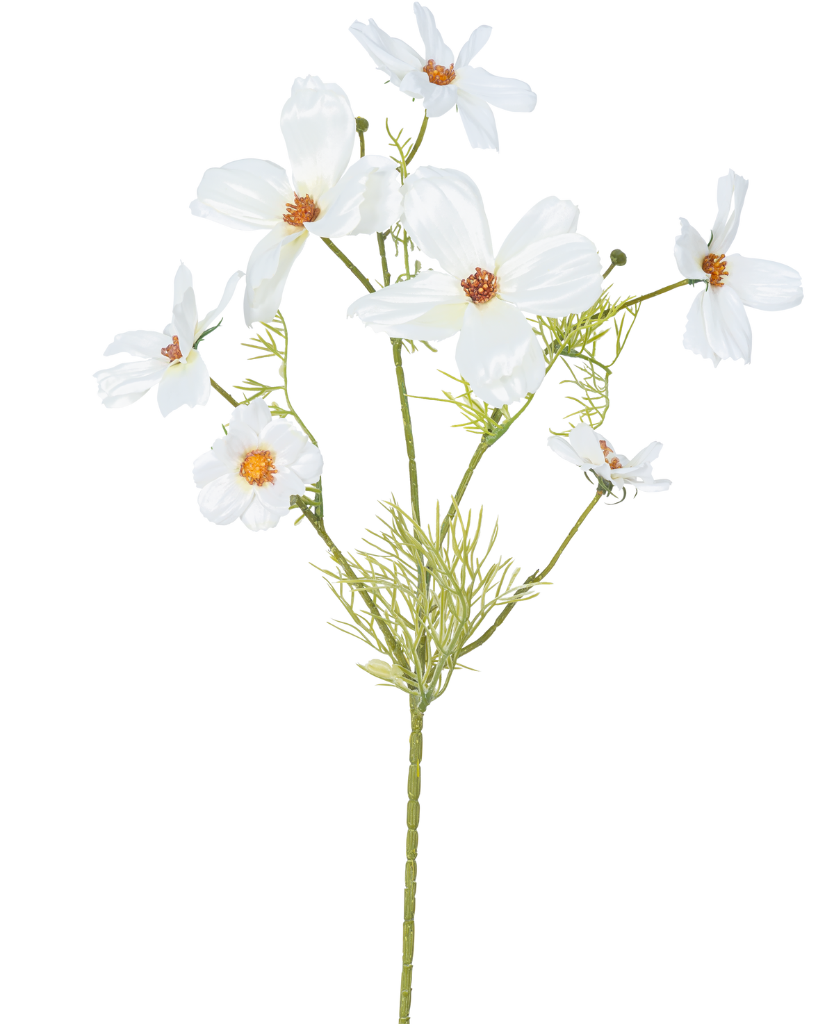 La fleur artificielle Cosmos 74 cm blanc possède plusieurs fleurs blanches délicates avec un cœur jaune et orange et des feuilles vertes plumeuses - idéales comme fleurs en soie pour une élégance durable.