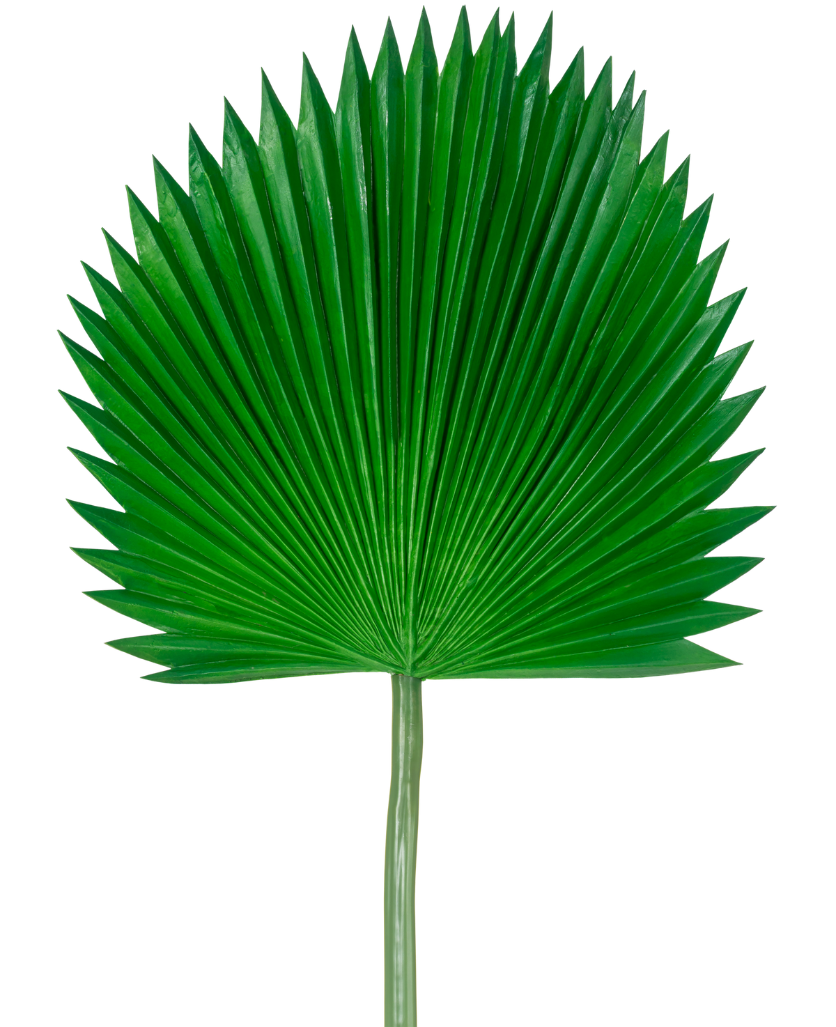La Feuille Artificielle Washingtonia 105 cm est une seule feuille de palmier verte en forme d'éventail et aux extrémités pointues, sur un fond blanc uni.