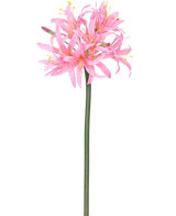 La Fleur Artificielle Nerine 70 cm rose a une haute tige verte avec une grappe de délicates fleurs rose araignée avec de longs pétales et des étamines jaunes, sur un fond blanc uni.