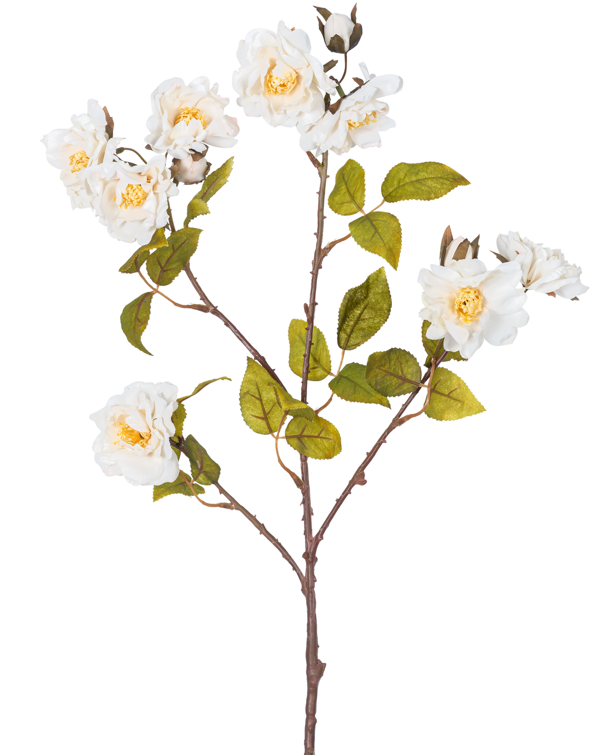 La Rose Branche Artificielle 72 cm blanche possède une seule tige brune avec de multiples branches, des feuilles vertes et plusieurs grandes fleurs blanches au centre jaune, isolées sur un fond blanc.