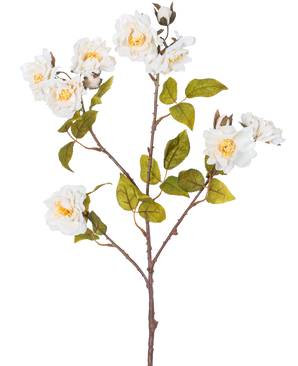 La Rose Branche Artificielle 72 cm blanche possède une seule tige brune avec de multiples branches, des feuilles vertes et plusieurs grandes fleurs blanches au centre jaune, isolées sur un fond blanc.