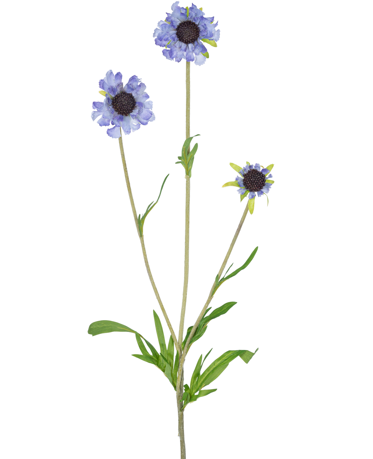 La fleur artificielle Scabiosa 63 cm bleue a une seule tige verte avec trois branches, chacune couronnée d'une fleur bleu-violet clair ressemblant à une marguerite et de feuilles vertes foncées et allongées au milieu, le tout sur un fond blanc uni.