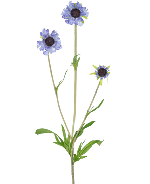 La fleur artificielle Scabiosa 63 cm bleue a une seule tige verte avec trois branches, chacune couronnée d'une fleur bleu-violet clair ressemblant à une marguerite et de feuilles vertes foncées et allongées au milieu, le tout sur un fond blanc uni.