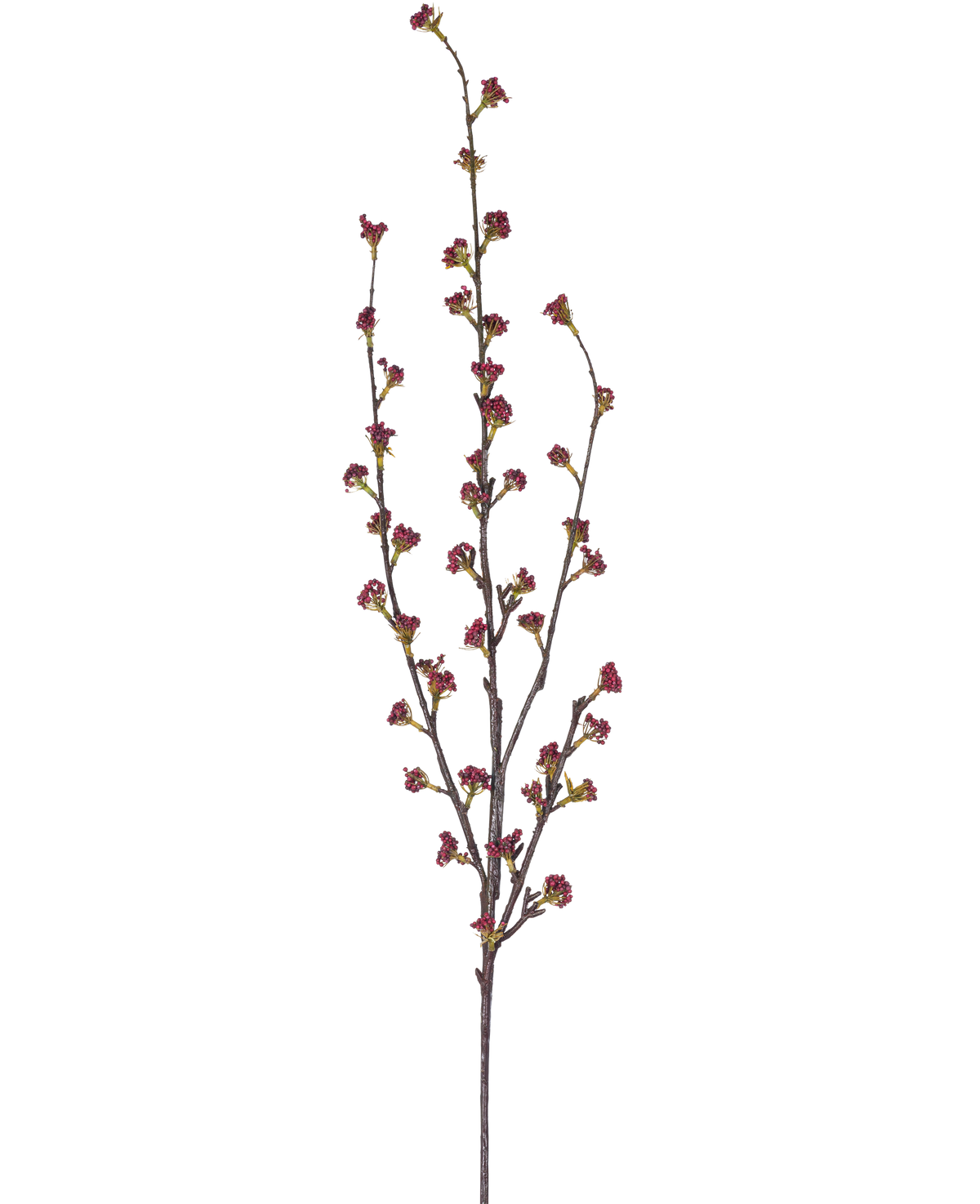 La Branche Artificielle Callicarpa 104 cm violet possède des branches élancées avec de multiples tiges fines, chacune décorée de petites grappes de bourgeons violet foncé, sur un fond uni blanc.
