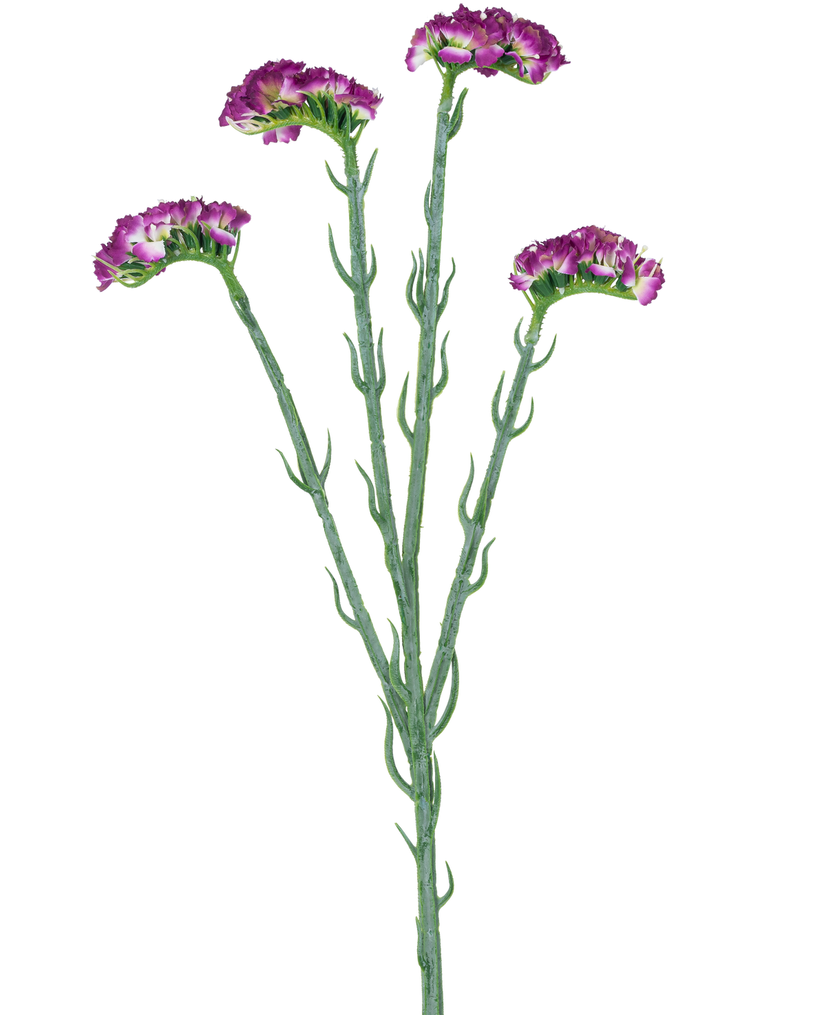 La branche artificielle Statice 64 cm violet foncé a trois tiges vertes minces avec de multiples branches, chacune recouverte d'un certain nombre de petites fleurs violet foncé à froufrous, le tout sur un fond blanc.