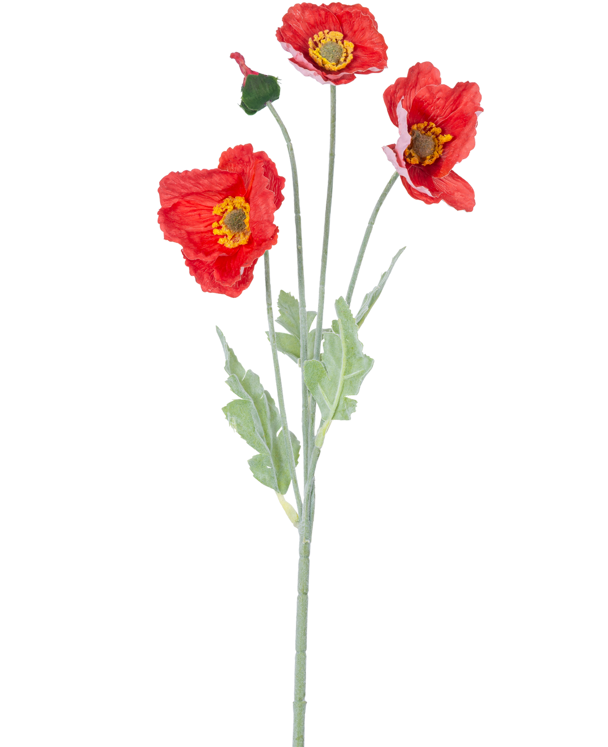 La Fleur Artificielle Coquelicot Real Touch rouge 60 cm a une tige unique avec trois fleurs de coquelicot rouge vif, un bourgeon fermé et des feuilles vertes, sur un fond blanc uni.