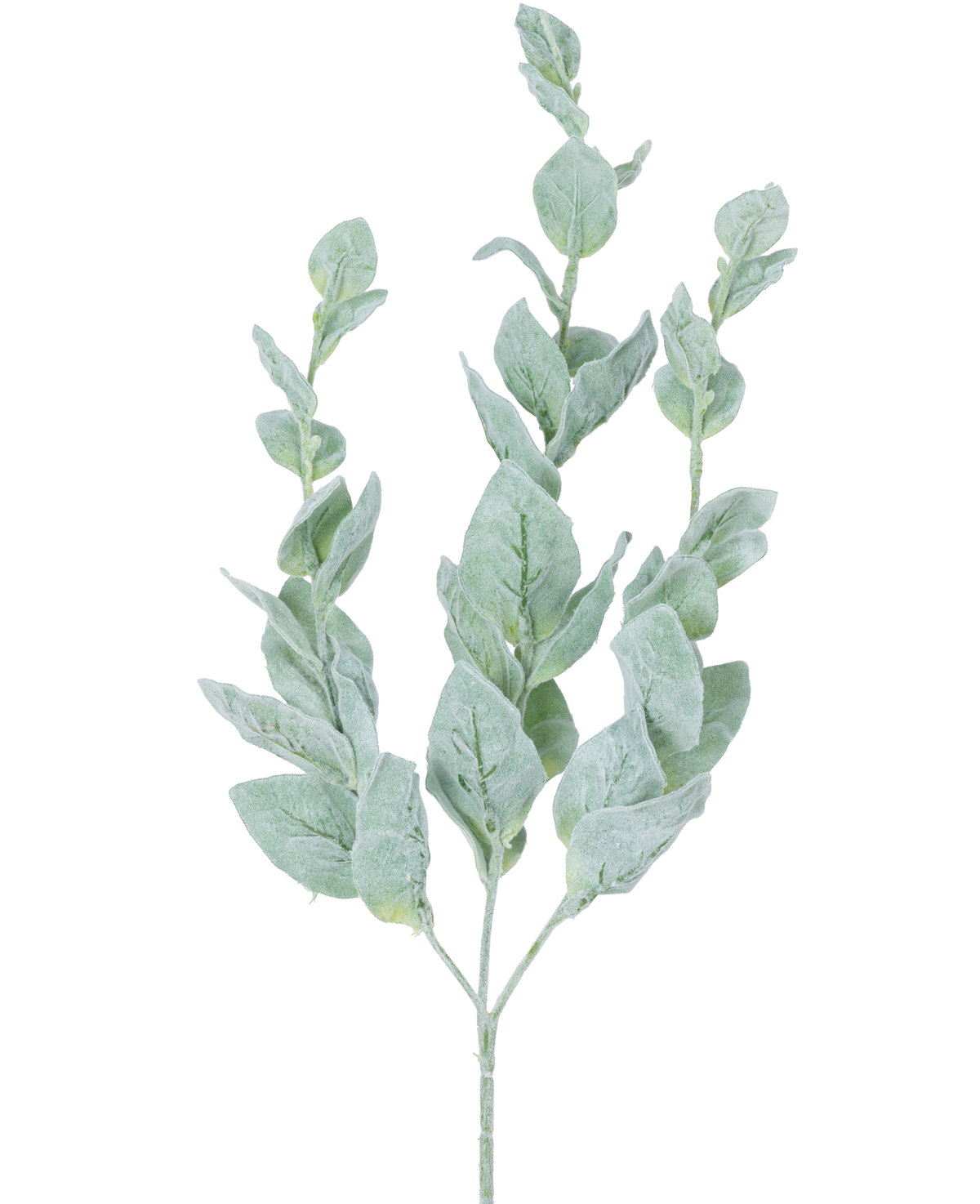 La Fleur Artificielle Eucalyptus 70 cm est une simple tige d'eucalyptus vert aux multiples feuilles arrondies, douces, pâles, de couleur argentée sur fond blanc.