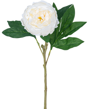 La Pivoine Artificielle Real Touch Blanc 58 cm possède une seule pivoine blanche avec des pétales superposés et un cœur jaune sur une longue tige verte avec plusieurs grandes feuilles vertes, sur un fond blanc uni.