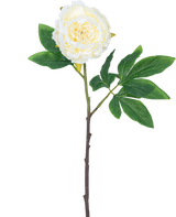 Fleur artificielle Pivoine 61 cm blanche : une seule pivoine blanche avec des pétales superposés, des feuilles vertes et une longue tige brune, isolée sur fond blanc.
