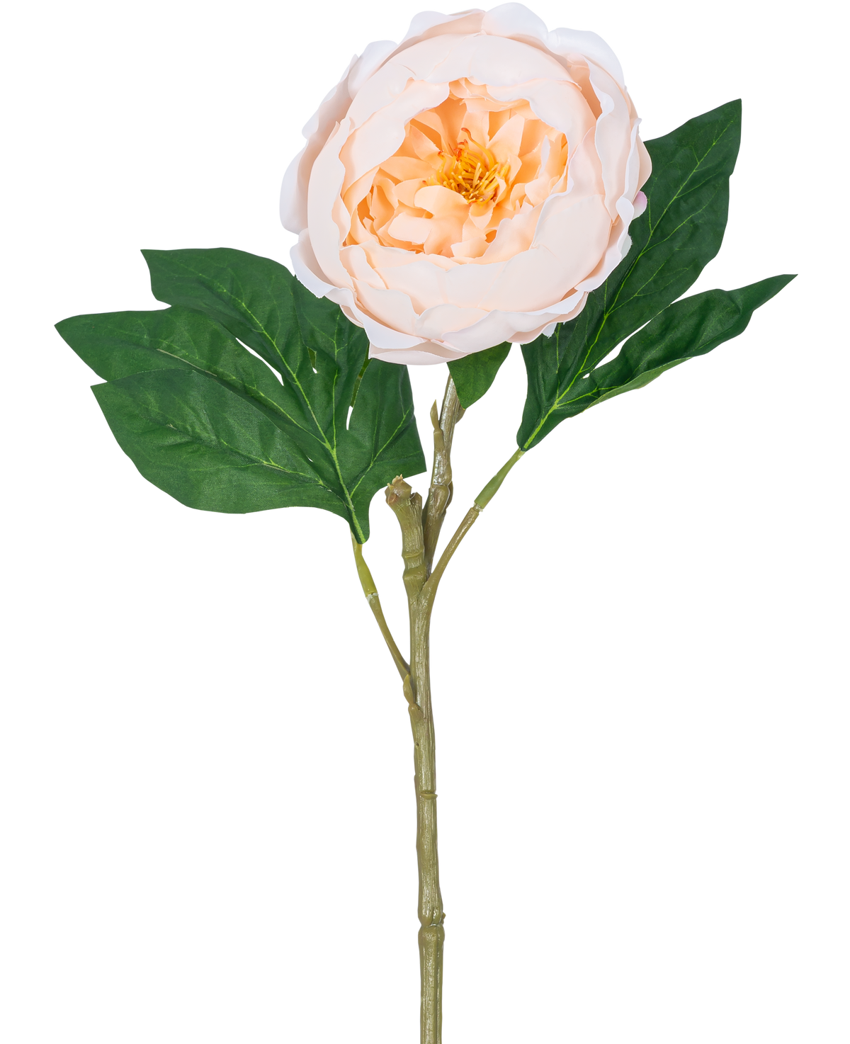 La Pivoine Artificielle Real Touch Crème Blanc 58 cm possède une seule tige de pivoine artificielle avec une grande fleur blanche de couleur crème et des feuilles vertes, sur un fond blanc.