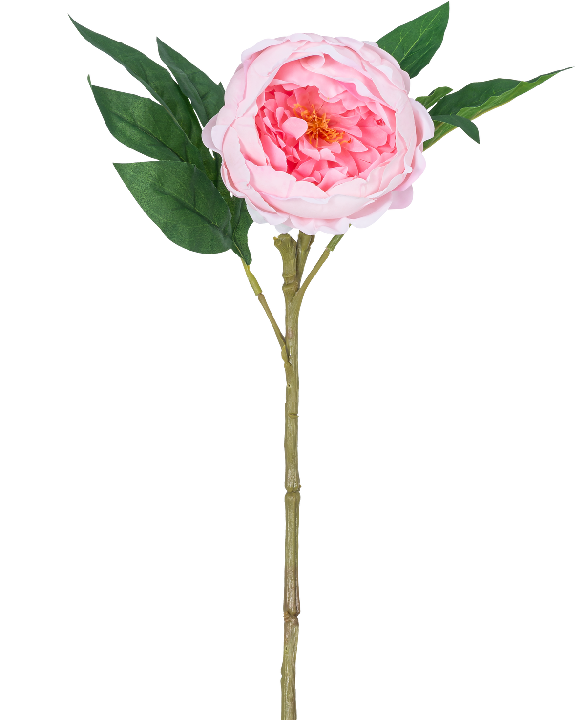 La Pivoine Artificielle Real Touch Rose 58 cm est une pivoine rose artificielle avec des pétales superposés, un cœur jaune, des feuilles vertes et une longue tige brune, représentée sur un fond blanc uni.