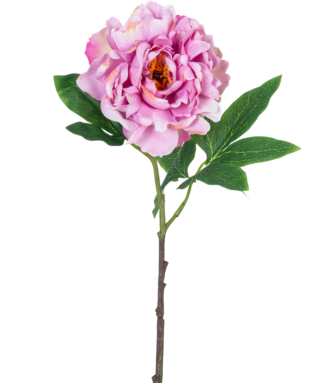 Une seule fleur artificielle pivoine de 61 cm rose clair, avec des pétales rose clair et des feuilles vertes sur une longue tige, photographiée sur un fond blanc uni.