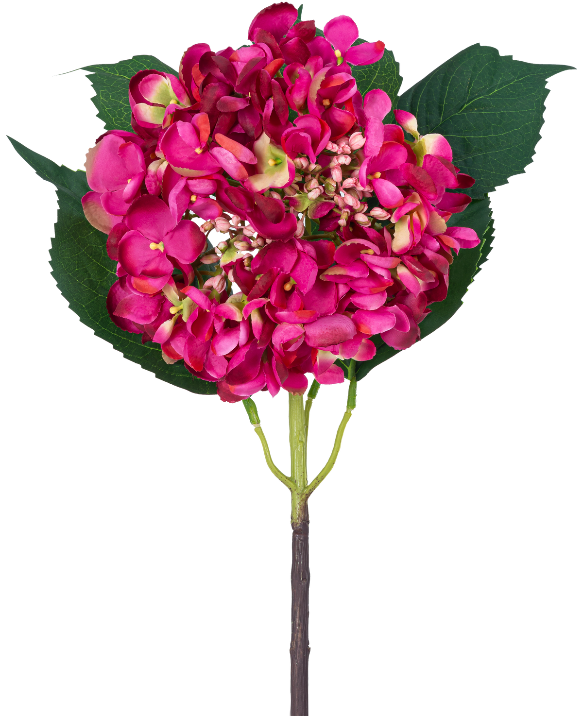 Un seul hortensia de jardin à fleurs artificielles de 61 cm de fleur d'hortensia rose et trois grandes feuilles vertes sur un fond blanc.
