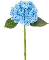 L'hortensia artificiel "Annabelle" Real Touch Bleu 55 cm possède un seul hortensia bleu avec des pétales, deux feuilles vertes et une longue tige, sur un fond blanc uni.