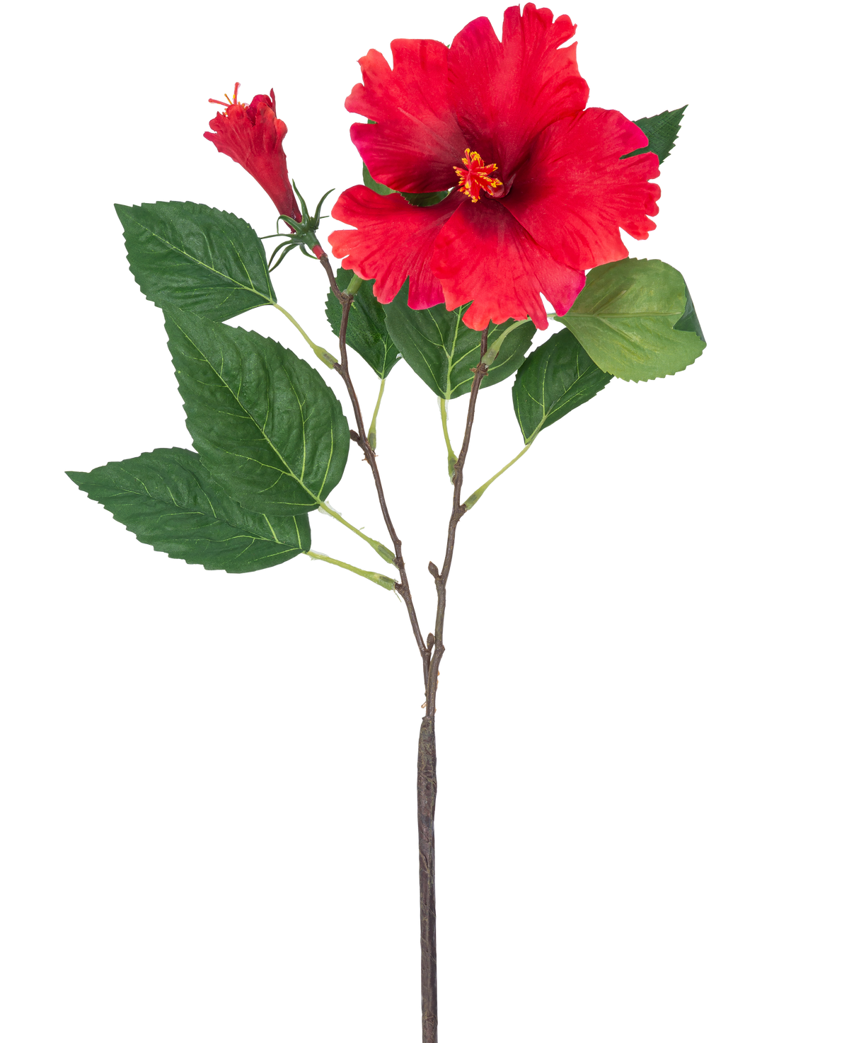 La Fleur Artificielle Hibiscus 63 cm rouge a une seule tige avec des fleurs d'hibiscus rouge vif et des feuilles vertes sur un fond blanc uni.