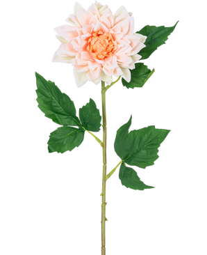 La Fleur Artificielle Dahlia Real Touch champagne 54 cm a une tige unique avec une légère fleur de dahlia champagne en pleine floraison et des feuilles vertes, représentées sur un fond blanc.