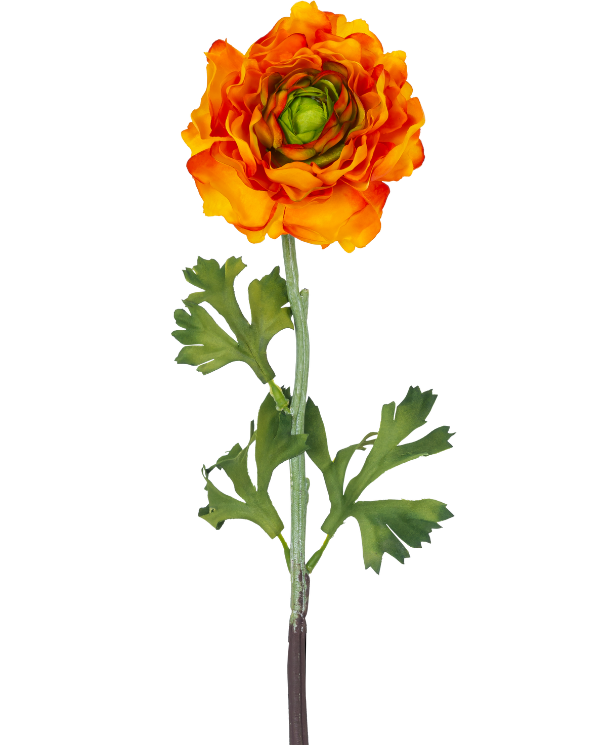 La Fleur Artificielle Ranunculus 51 cm orange est une fleur artificielle de renoncule orange avec des pétales superposés et des feuilles vertes sur une longue tige, parfaite comme accent décoratif.