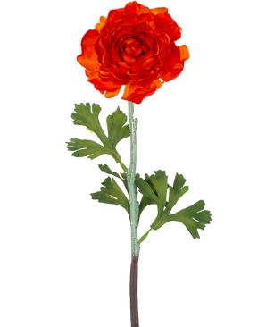 La fleur artificielle Ranunculus 51 cm orange foncé a une fleur de renoncule artificielle orange foncé vibrante avec des pétales superposés et des feuilles vertes lobées sur une longue tige, sur un fond blanc uni.
